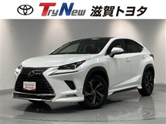 NX300 VER-L サンルーフ