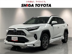 RAV4HEV G