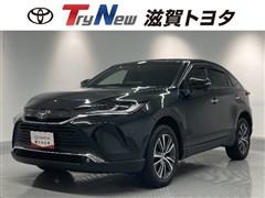 ハリアー G ETC Bカメ Dミラー