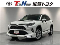 トヨタ RAV4G Zパッケージ フルエアロ