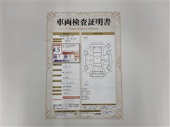 ヴォクシーS-Z フルエアロ リヤモニ