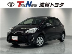 ヴィッツジュエラスマストップPKG