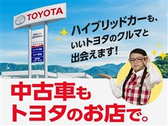 プリウスZ サンルーフ PVM ETC