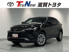 ハリアー Z BSM HUD ETC