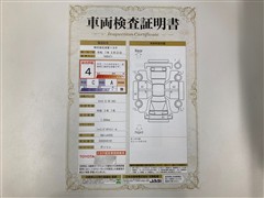 キャストスタイルG VS SA3 PVM