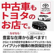 ヴォクシーHEV S-Z リヤモニ