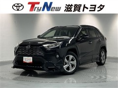 RAV4 G 4WD フルエアロ PVM