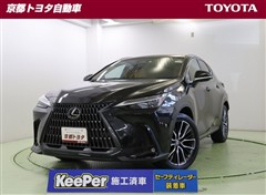 NX250 バージョンL