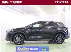 NX250 バージョンL