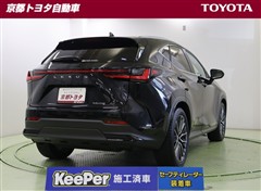 NX250 バージョンL