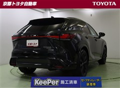 RX500h Fスポーツパフォーマン