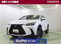 NX250 バージョンL