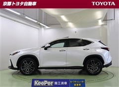 NX250 バージョンL