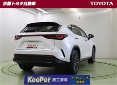 NX250 バージョンL