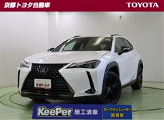 UX250h アーバンエレガンス