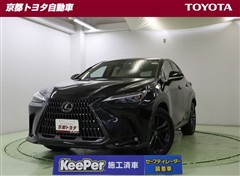 NX350h バージョンL