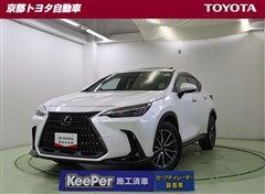 NX350h ヒョウジュンシャ