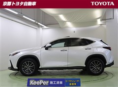 NX350h ヒョウジュンシャ