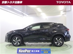 NX300h スパイス&シック