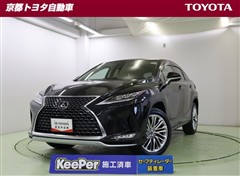 RX300 ヒョウジュンシャ