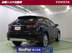 RX300 ヒョウジュンシャ