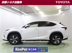 NX300h Iパッケージ