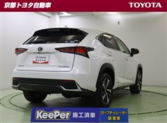 NX300h Iパッケージ