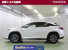 RX300 ヒョウジュンシャ