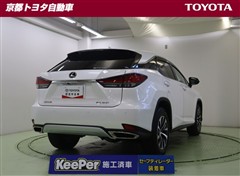 RX300 ヒョウジュンシャ