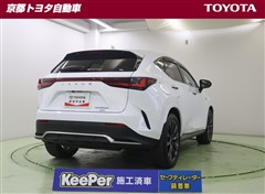 NX450hv + Fスポーツ