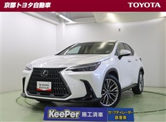 NX250 バージョンL