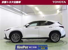 NX250 バージョンL