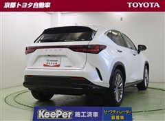 NX250 バージョンL