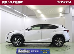 NX300h バージョンL