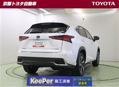 NX300h バージョンL