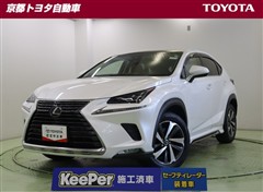 NX300 バージョンL