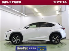 NX300 バージョンL