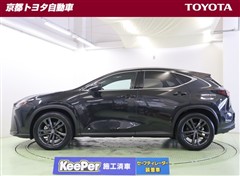 NX250 バージョンL