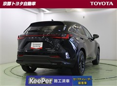 NX250 バージョンL