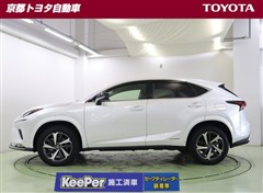 NX300h スパイス&シック