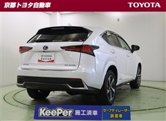 NX300h スパイス&シック