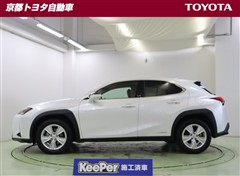 UX250h バージョンC