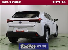 UX250h バージョンC