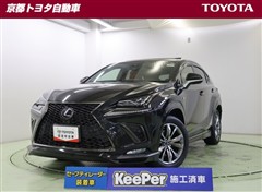 NX300h Fスポーツ