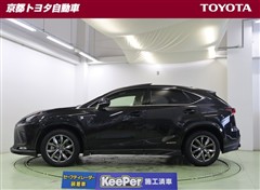NX300h Fスポーツ