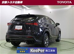 NX300h Fスポーツ