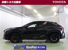 RX500h Fスポーツ Perfor