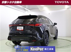 RX500h Fスポーツ Perfor