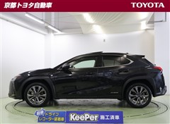 UX250h Fスポーツ