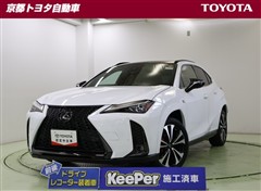 UX250h Fスポエモ Exp